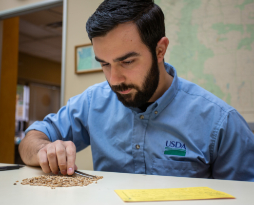 Photo shows an FGIS inspector and wheat kernels demonstrating another reason why U.S. wheat is the world's most reliable choice.
