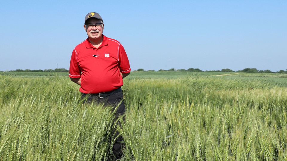 P. Stephen Baenziger, UNL wheat breeder