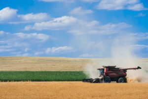 Photo shows a combine harvesting hard white wheat with a green field, hillside and partly cloudy blue sky behind.