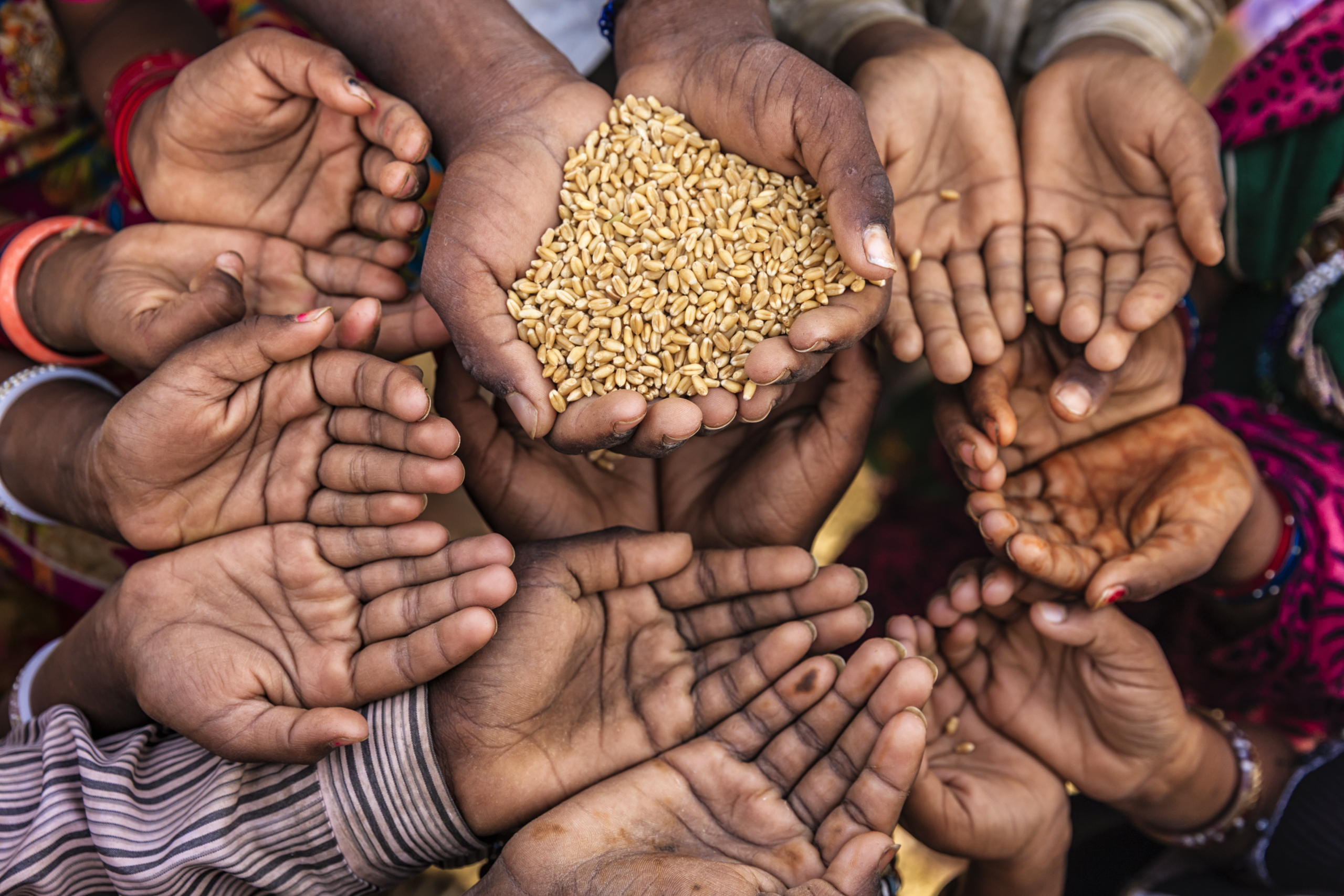 Hands with Wheat