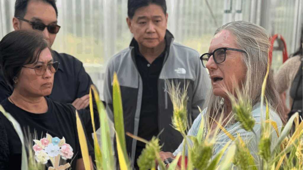 The team looked at test plots at the greenhouse. 