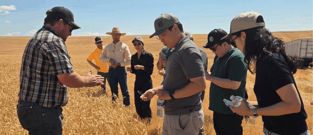 South Korea trade team gets a firsthand look at the 2025 wheat crop.