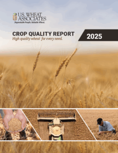2025 CQ Report Cover