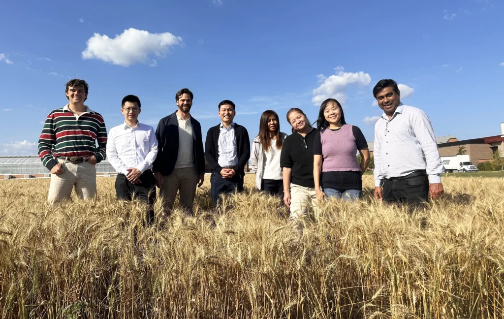 Wheat field are a special place for Joe Bippert, a native of Washington state. Since joining USW in 2021 and moving his family to Manila, Joe Bippert has partnered with millers, bakers, importers and government agencies to strengthen market access and promote U.S. wheat throughout South and Southeast Asia.