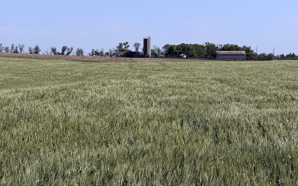 2026 WQC Winter Wheat Tour