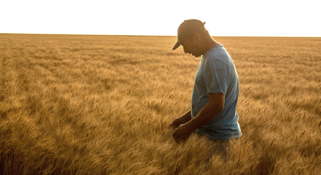 Millershaski's family farm is near Lakin, Kansas, where he grows wheat, corn and grain sorghum.