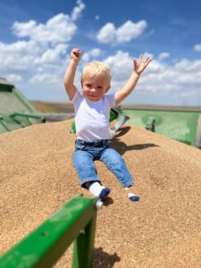 Millershaski says his grandson Henry, shown here during the family's wheat harvest, is getting an early start to becoming the sixth generation to work on the family farm.