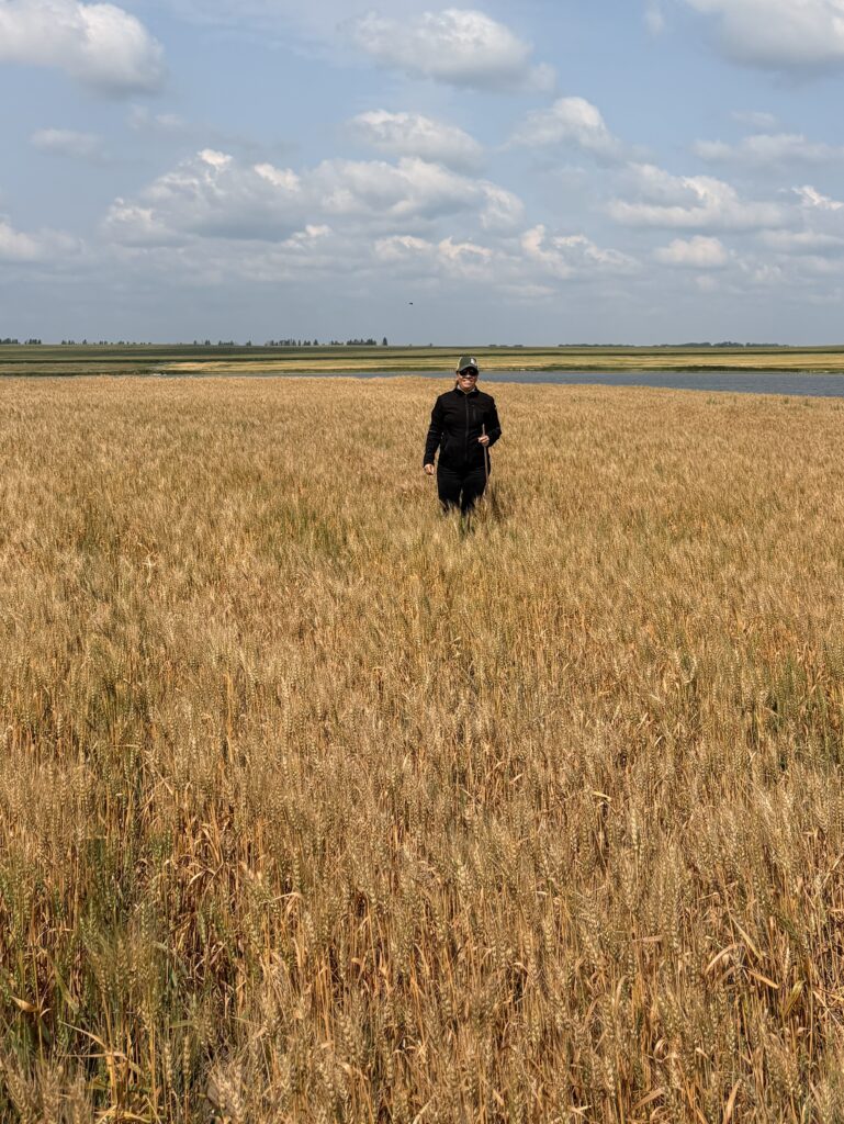 Scouting during the 2026 Spring Wheat Tour
