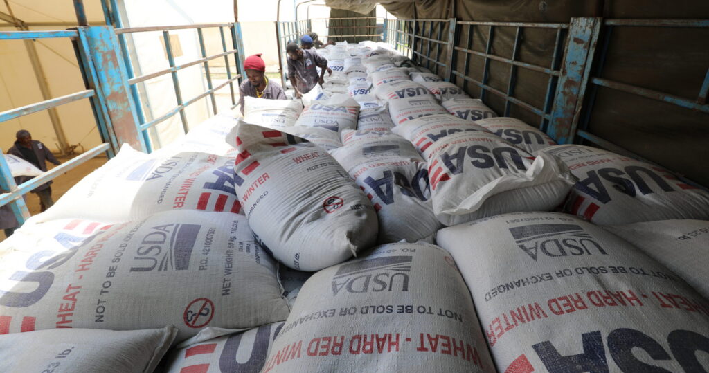 bagging wheat in Kenya