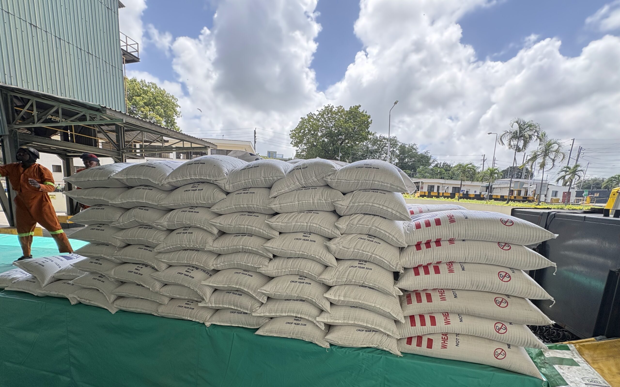 Loading Wheat Bags