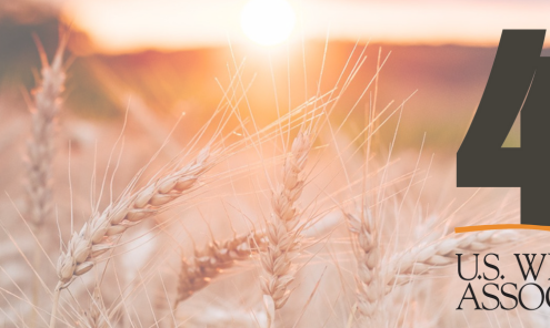 Image shows a wheat field in the setting sun with a graphic showing 45 Years and the U.S. Wheat Associates logo.