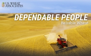 Image shows a rolling wheat field with a harvester cutting wheat with the words Dependable People. Reliable Wheat. appearing across the field.