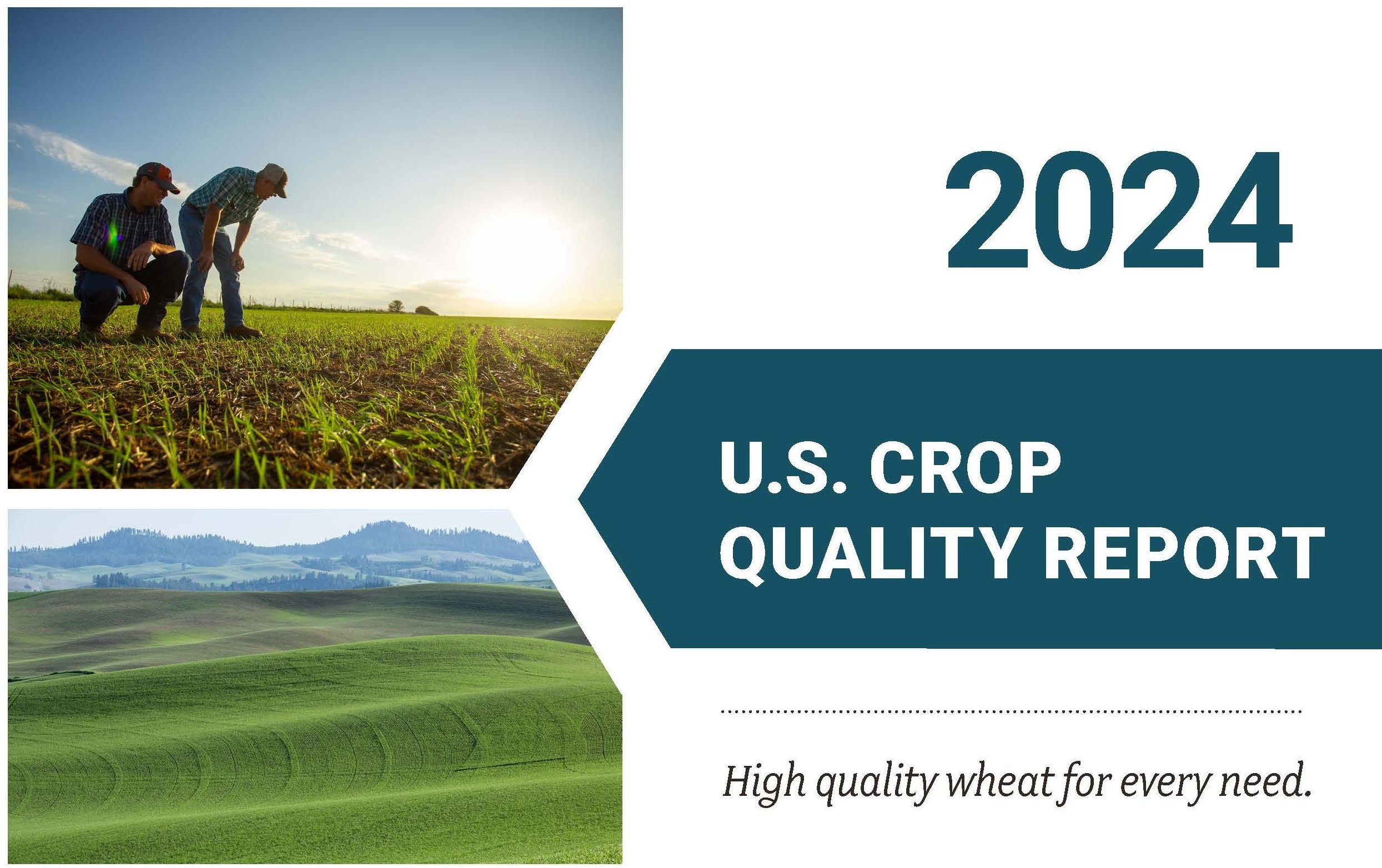 Title image from 2024 U.S. Wheat Crop Quality Report