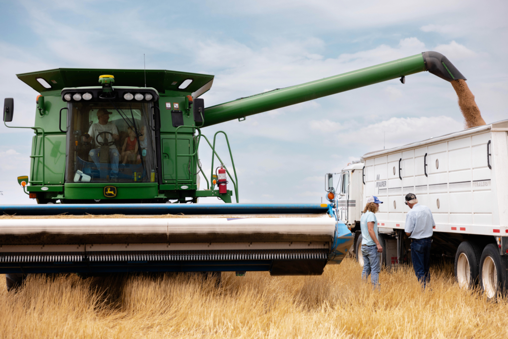 Kent Lorens and one of his sons work together to harvest the 2024 wheat crop in Stratton, Nebraska. Lorens is one of the farmers who helps tell the story of how a reliable system of trucks, trains and ships moves U.S. wheat from farm field to grain elevator to shipping port and finally on to customers around the world.