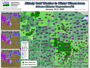 A USDA map showing snow depth and extreme minimum temperatures during January 19 to 21, 2025.