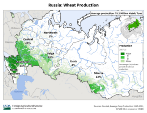 Map of Russia showing major agricultural regions where wheat is grown in green.