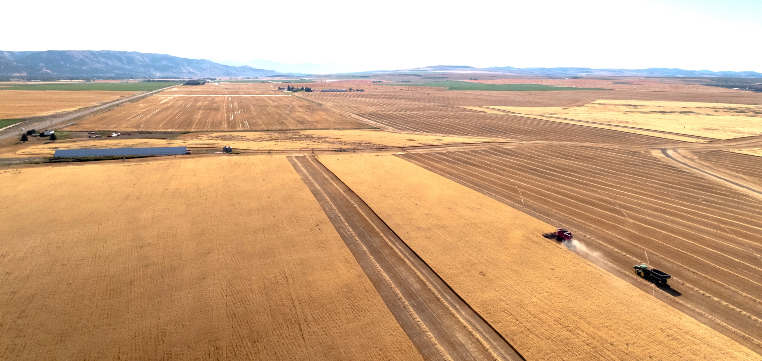 From above a wheat field with a harvester moving away from the camera and mountains in the background on the horizon.