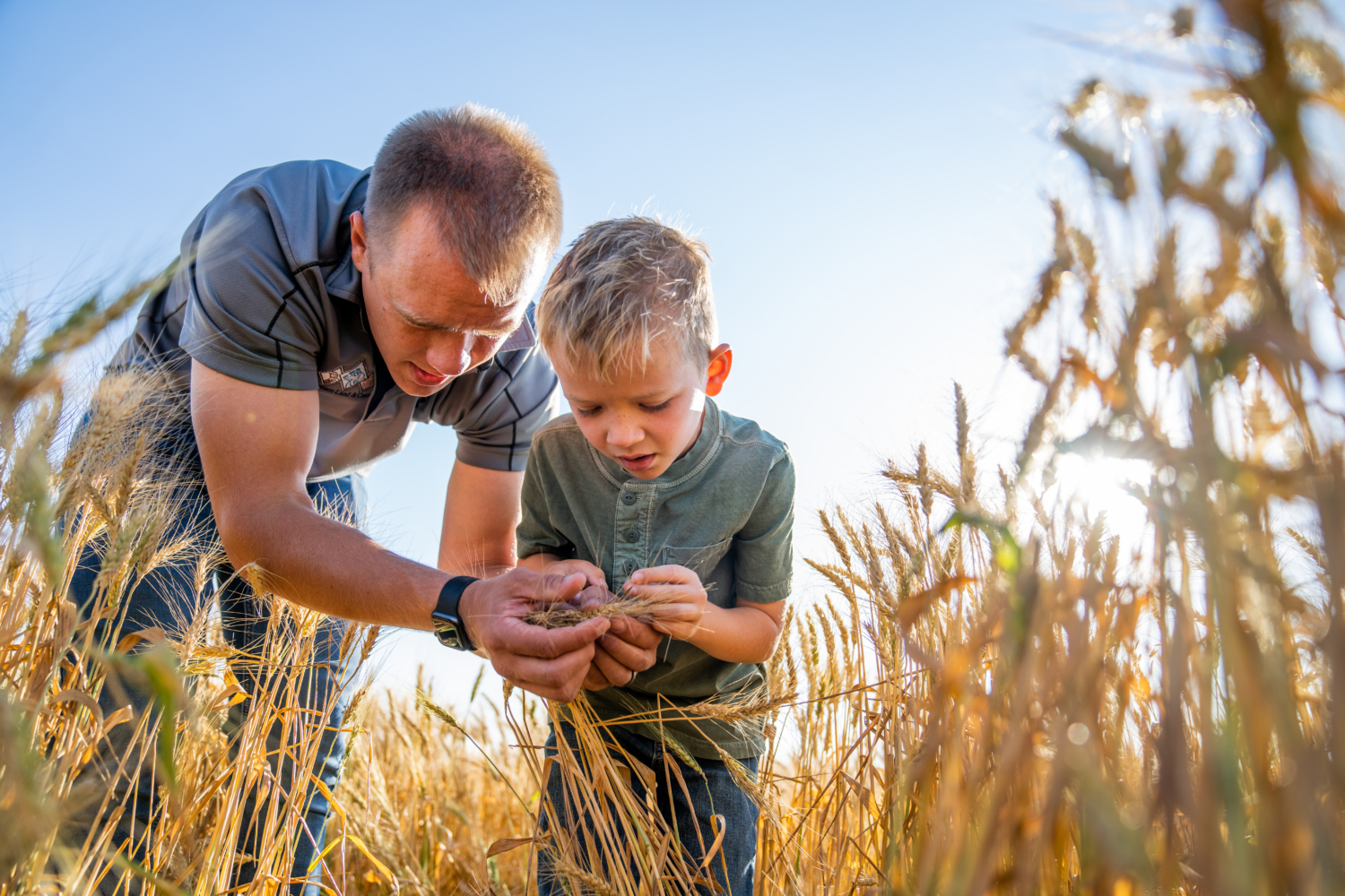 Stories Of Stewardship - U.S. Wheat Associates