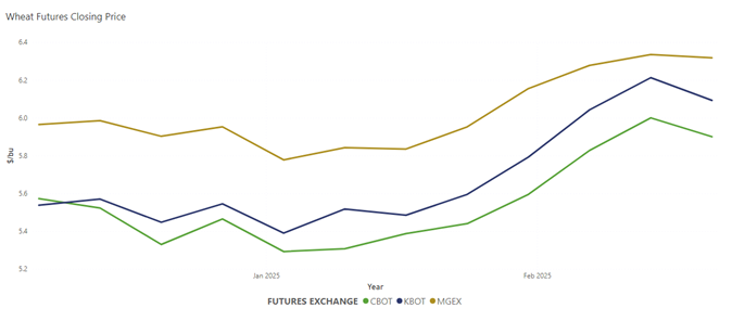 Image shows U.S. wheat futures prices in a line graph rising over time into January 2025.