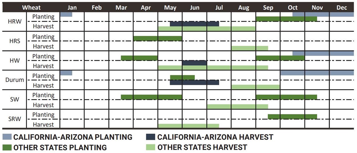 Planting the Crop U.S. Wheat Seeding Involves Careful Planning